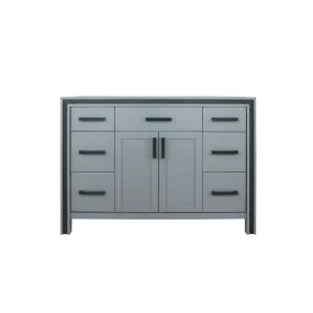 Ziva 48 Dark Grey Vanity Cabinet Only | LZV352248SB00000